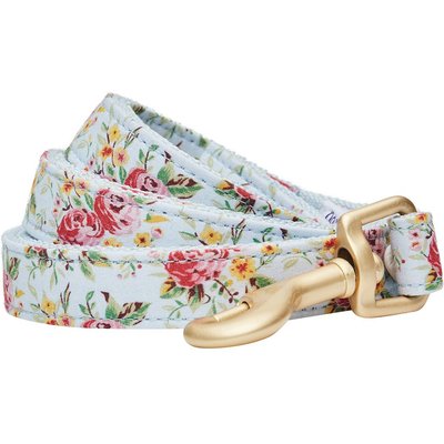 Dogs & Cats & Co. Dogs & Cats & Co. Spring Blossom Polyester Dog Leash, Turquoise, Large: 4-ft long, 1-in wide