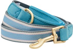 Dogs & Cats & Co. Tricolor Striped Suede Leather & Polyester Dog Leash, Light Blue, Medium: 6-ft long, 3/4-in wide