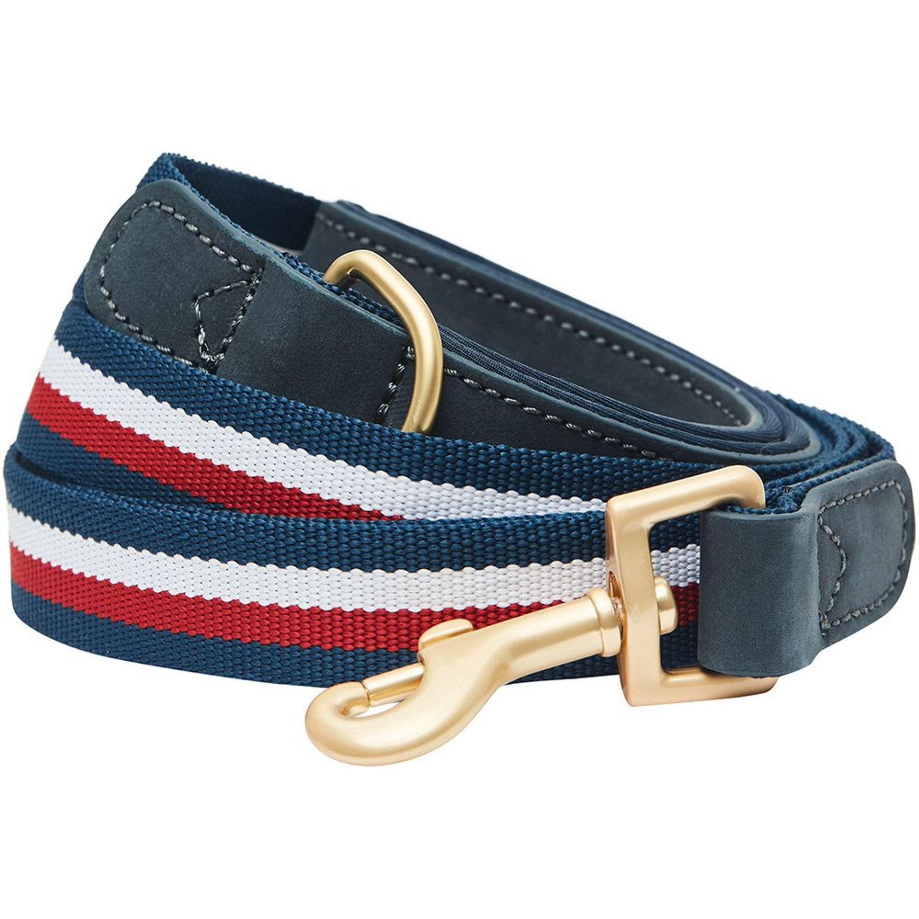 Dogs & Cats & Co. Tricolor Striped Suede Leather & Polyester Dog Leash, Navy Blue, Large: 6-ft long, 1-in wide