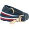Show in main carousel: Dogs & Cats & Co. Tricolor Striped Suede Leather & Polyester Dog Leash, Navy Blue, Medium: 6-ft long, 3/4-in wide slide 1 of 4
