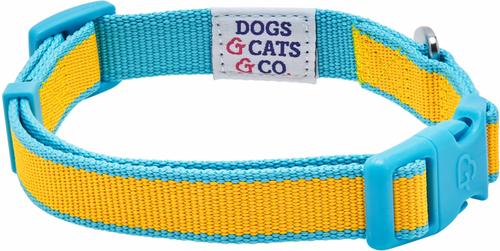 Show full view: Dogs & Cats & Co. Vibrant Striped Polyester Dog Collar, Solar Yellow & Capri Blue, Large: 26-in neck, 1-in wide slide 5 of 7