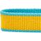 Show in main carousel: Dogs & Cats & Co. Vibrant Striped Polyester Dog Collar, Solar Yellow & Capri Blue, Large: 26-in neck, 1-in wide slide 6 of 7
