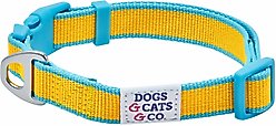 Dogs & Cats & Co. Vibrant Striped Polyester Dog Collar, Solar Yellow & Capri Blue, Medium: 20-in neck, 3/4-in wide