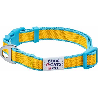 Dogs & Cats & Co. Dogs & Cats & Co. Vibrant Striped Polyester Dog Collar, Solar Yellow & Capri Blue, Medium: 20-in neck, 3/4-in wide
