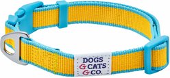 Dogs & Cats & Co. Vibrant Striped Polyester Dog Collar, Solar Yellow & Capri Blue, Small: 16-in neck, 5/8-in wide