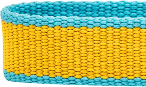 Show full view: Dogs & Cats & Co. Vibrant Striped Polyester Dog Collar, Solar Yellow & Capri Blue, Small: 16-in neck, 5/8-in wide slide 5 of 6