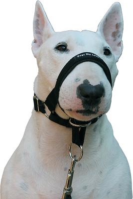 Show full view: Dogs My Love Nylon Dog Headcollar, Black, Large: 18 to 23.5-in neck, 3/4-in wide slide 4 of 7