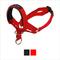 Show in main carousel: Dogs My Love Nylon Dog Headcollar, Red, Medium: 15 to 19.5-in neck, 3/4-in wide slide 1 of 6