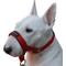 Show in main carousel: Dogs My Love Nylon Dog Headcollar, Red, Medium: 15 to 19.5-in neck, 3/4-in wide slide 2 of 6
