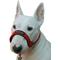 Show in main carousel: Dogs My Love Nylon Dog Headcollar, Red, Medium: 15 to 19.5-in neck, 3/4-in wide slide 3 of 6