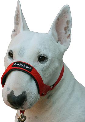 Show full view: Dogs My Love Nylon Dog Headcollar, Red, Medium: 15 to 19.5-in neck, 3/4-in wide slide 3 of 6