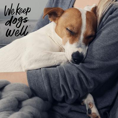 Show full view: Dogswell Remedy+Recovery Diarrhea Control for Dogs & Cats, 8-fl oz bottle slide 6 of 7