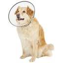 Dogswell Remedy+Recovery Dog E-Collar, Large