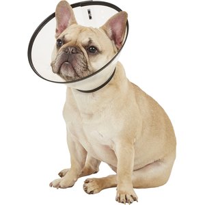 All Four Paws Comfy Cone E-Collar for Dogs & Cats, Black