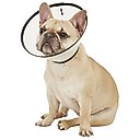 Dogswell Remedy+Recovery Dog E-Collar, Medium