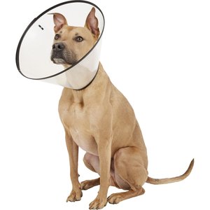 Dogswell Remedy+Recovery Dog E-Collar, X-Large
