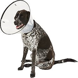 Dogswell Remedy+Recovery Dog E-Collar, XX-Large slide 1 of 4