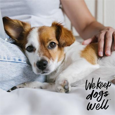 Show full view: Dogswell Remedy+Recovery Hydrocortisone Lotion for Dogs & Cats, 4-fl oz bottle slide 7 of 8