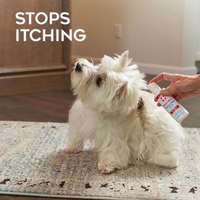 Show full view: Dogswell Remedy+Recovery Hydrocortisone Lotion for Dogs & Cats, 4-fl oz bottle slide 6 of 8