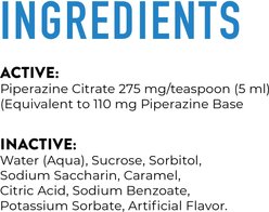 Dogswell Remedy+Recovery Pet Wormer for Dogs & Cats, 8-fl oz bottle slide 2 of 6