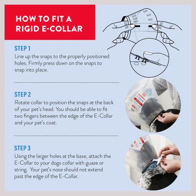 Dogswell Remedy+Recovery Rigid E-Collar for Dogs & Cats, Color Varies