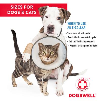 Show full view: Dogswell Remedy+Recovery Rigid E-Collar for Dogs & Cats, Color Varies, Medium slide 6 of 9
