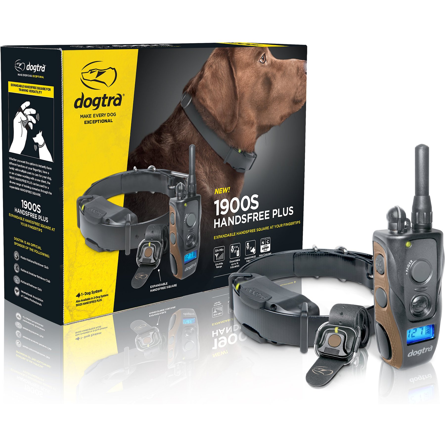 Oazifestiv Best Leash And Collar For Puppy Training 1900x Dogtra