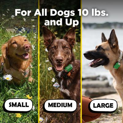 Show full view: Dogtra CUE Dog Bark Control Training, Green slide 6 of 11