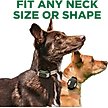 Show in main carousel: Dogtra CUE Gen 2 Waterproof Vibration Customizable Remote Dog Training Collar, Grey slide 9 of 10