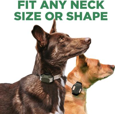 Show full view: Dogtra CUE Gen 2 Waterproof Vibration Customizable Remote Dog Training Collar, Grey slide 9 of 10