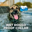 Show in main carousel: Dogtra CUE Gen 2 Waterproof Vibration Customizable Remote Dog Training Collar, Grey slide 5 of 10