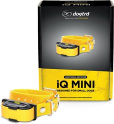 Dogtra iQ MINI Add On Collar Remote Training Dog e-Collar, Golden Yellow