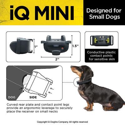 Show full view: Dogtra iQ MINI Add On Collar Remote Training Dog e-Collar, Golden Yellow slide 4 of 8