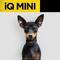 Show in main carousel: Dogtra iQ MINI Add On Collar Remote Training Dog e-Collar, Golden Yellow slide 8 of 8