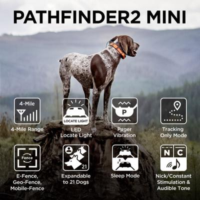 Show full view: Dogtra Pathfinder 2 Mini Remote Dog Training & GPS Additional Receiver Collar, Green slide 2 of 3