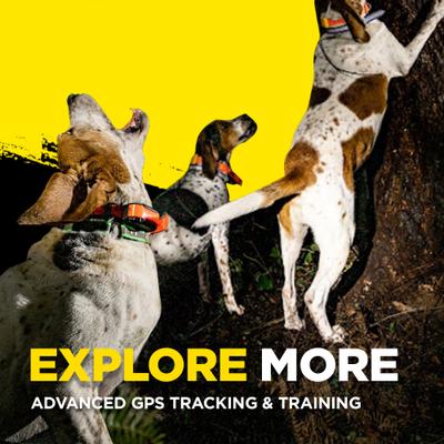 Show full view: Dogtra Pathfinder 2 Remote Dog Training & GPS Additional Receiver Collar, Black slide 7 of 11