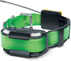 Dogtra Pathfinder 2 Remote Dog Training & GPS Additional Receiver Collar, Green
