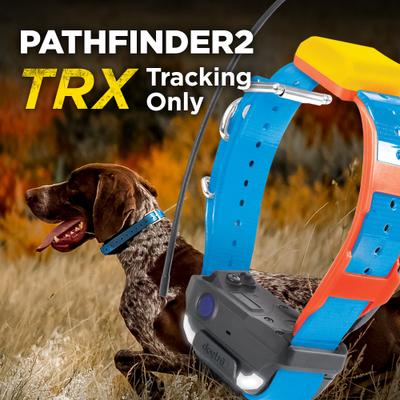 Show full view: Dogtra Pathfinder 2 TRX Dog Tracking Only Additional Receiver Collar, Blue slide 7 of 10