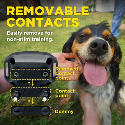 Show full view: Dogtra Smart NoBark IPX9K Waterproof Anti-Bark No Whining & Howling Dog Training Collar, 1 count slide 9 of 10