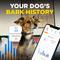 Show in main carousel: Dogtra Smart NoBark IPX9K Waterproof Anti-Bark No Whining & Howling Dog Training Collar, 1 count slide 6 of 10