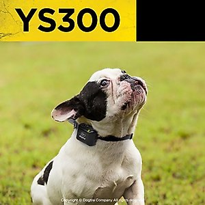 Dogtra YS300 Dog Anti-Bark Collar, Black