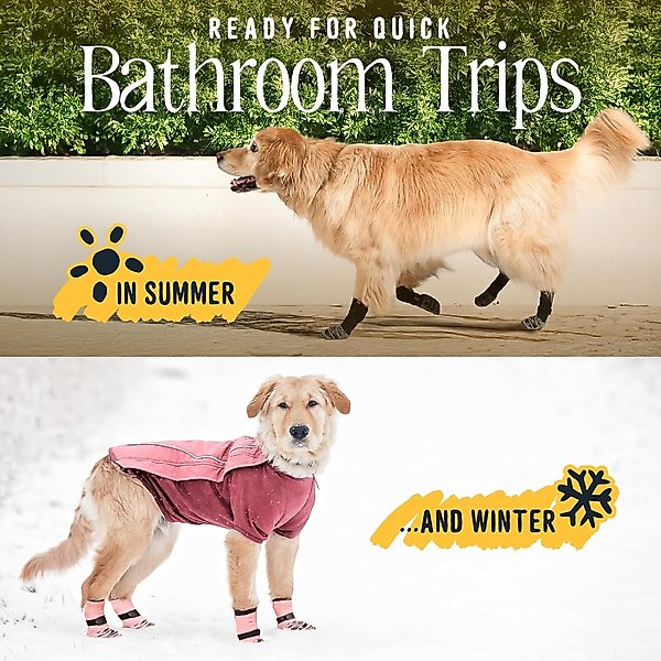 Show full view: DOK TigerToes Anti-Slip Senior Dog Socks, Caramel, XX-Small slide 8 of 10