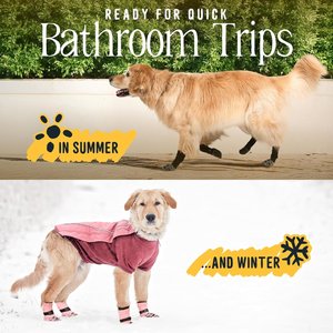 DOK TigerToes Anti-Slip Senior Dog Socks, Grey, Medium