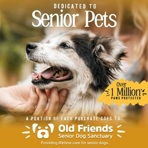 DOK TigerToes Anti-Slip Senior Dog Socks, Grey, Medium