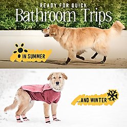 DOK TigerToes Anti-Slip Senior Dog Socks, Grey, X-Small slide 2 of 9