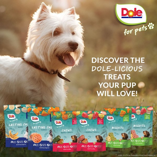 Dole Assorted Spinach + Pumpkin Crunchy Dog Treats, 7-oz bag