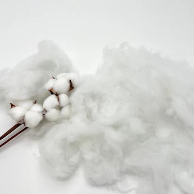 Show full view: Dolly Pet Lace Haven Fuzzy Bear Den Dog Bed with Removable Cover, Yellow/Green, Large slide 6 of 6