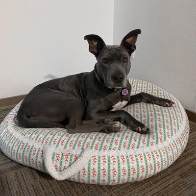 Show full view: Dolly Pet Petal Haven Dog Bed with Removable Cover, Pink/Green, Large slide 4 of 4