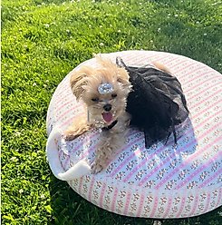 Dolly Pet Petal Haven Dog Bed with Removable Cover, Pink/White, Medium slide 2 of 4