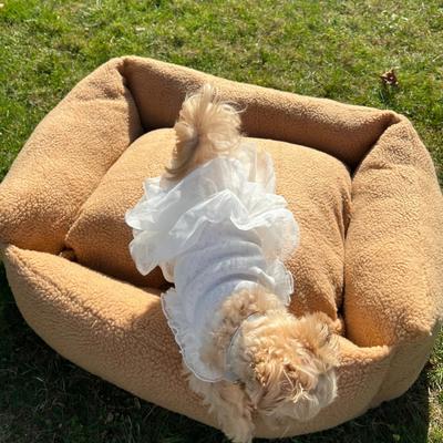 Show full view: Dolly Pet Teddy Bear Fuzzy Den Dog Bed with Removable Cover, Brown/White, Medium slide 4 of 7